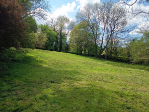 Photo de galerie - Tonte de pelouse superficie 1 hectare