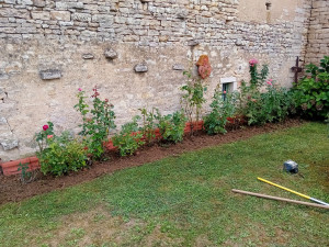 Photo de galerie - Après la taille des rosiers 