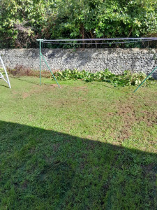 Photo de galerie - Petite entretien tonte d'herbes 