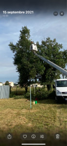 Photo de galerie - Elagage et coupe d'arbres