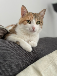 Photo de galerie - Yoga