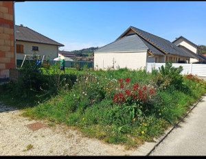 Photo de galerie - La photo avant de commencer le boulot travaux réalisés au râteau à la pioche et à la pelle et avec une débroussailleuse
