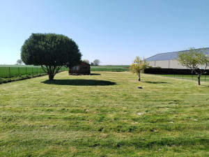 Photo de galerie - Tonte de pelouse - Débroussaillage