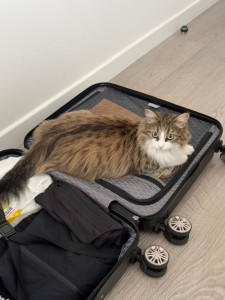 Photo de galerie - Vacances chez Mamychat 