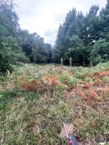 Photo de galerie - Entretien 