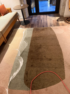 Photo de galerie - Nettoyage de tapis en profondeur. Enlèvement de tout tache Netoyage de Matelas.