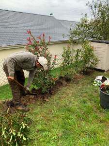 Photo de galerie - Plantation de haies photonique