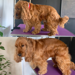 Photo de galerie - Avant/après épilation 