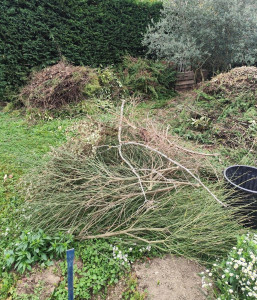 Photo de galerie - Jardinier