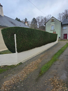 Photo de galerie - Taille haie