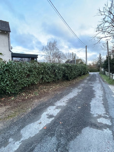 Photo de galerie - Taille de haies et d'arbustes