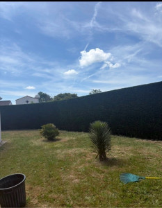 Photo de galerie - Taille de haie ( Photo après )