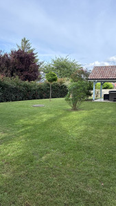 Photo de galerie - Tonte Mulching 