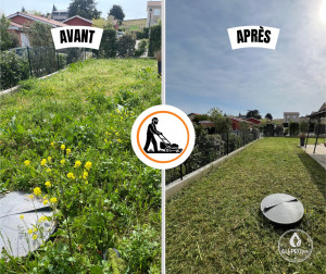 Photo de galerie - Tonte de pelouse - Débroussaillage