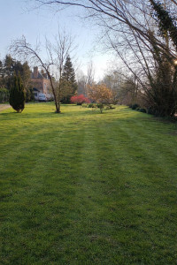 Photo de galerie - Tonte de pelouse - Débroussaillage
