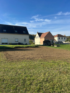 Photo de galerie - Semis de gazon 