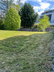 Photo de galerie - Photo après notre passage, débroussaillage complet, tonte et taille des haies 