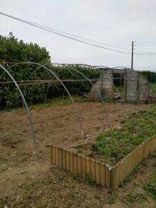 Photo de galerie - Travaux remise en état serre, plus travail de la terre