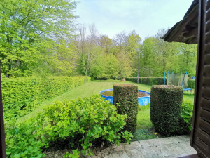 Photo de galerie - Taille et tonte