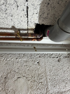 Photo de galerie - Réparation d’une brasure cuivre sur tuyaux d’eau chaude sanitaire 
