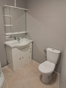 Photo de galerie - Rafraîchissement de salle de bain