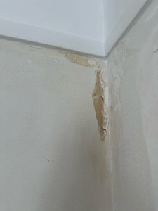 Photo de galerie - Plâtrerie - Murs - Plafonds