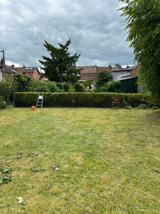 Photo de galerie - Entretien jardin 