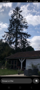 Photo de galerie - 25 m de haut 