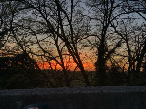 Photo de galerie - Photo couchée de soleil 