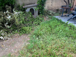 Photo de galerie - Avant 