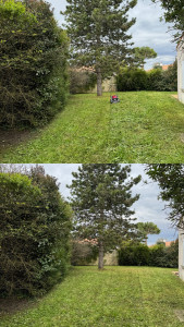 Photo de galerie - Tonte de pelouse - Débroussaillage