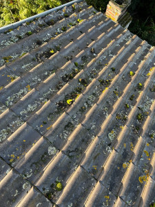 Photo de galerie - Couverture - Toiture