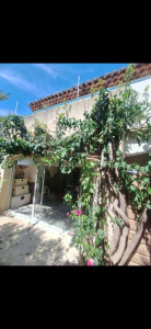 Photo de galerie - Elagage et coupe d'arbres