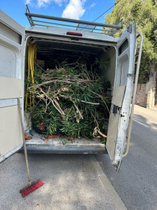 Photo de galerie - Évacuation de tout type de déchets verts, après élagage