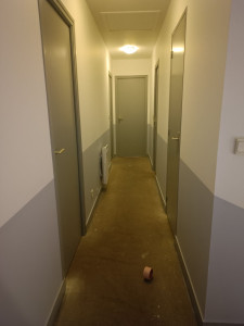 Photo de galerie - Peinture mur, plafond, boiseries 