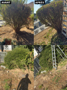 Photo de galerie - ? Avant / Après : une belle transformation réalisée par Les Jardiniers de Saison ! ✂️✨ ? Besoin d’un devis pour votre jardin ? N’hésitez pas à nous contacter !
