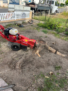 Photo de galerie - Elagage et coupe d'arbres