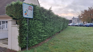 Photo de galerie - (avant) Taille de haie