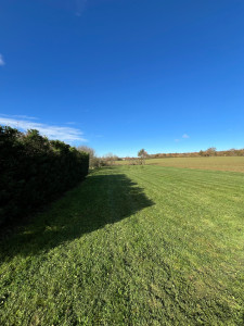 Photo de galerie - Tonte et débroussaillage 