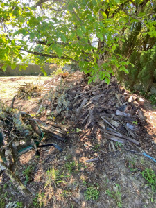 Photo de galerie - Paysagiste - Aménagement du jardin