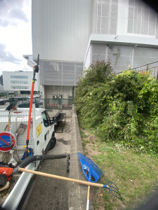 Photo de galerie - Taille de haies et d'arbustes