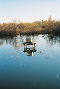 Photo de galerie - Photographe