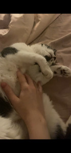 Photo de galerie - Fluffy | 12 ans