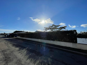 Photo de galerie - Rabattage grosse haie hauteur et largeur 