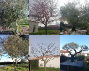 Photo de galerie - Gros nettoyage.