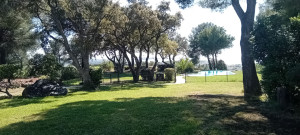 Photo de galerie - Tonte de pelouse, taille d'arbustes...entretien jardin
