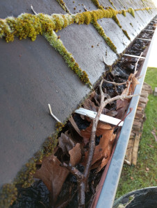 Photo de galerie - Avant nettoyage gouttières maison 