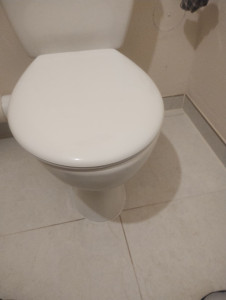 Photo de galerie - Fixation wc et joint silicone 