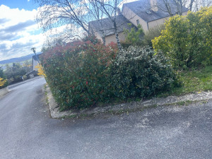 Photo de galerie - Taille 