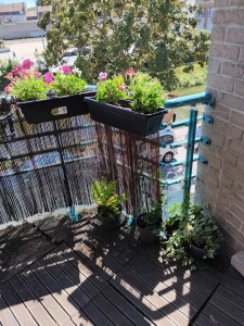Photo de galerie - Paysagiste - Aménagement du jardin